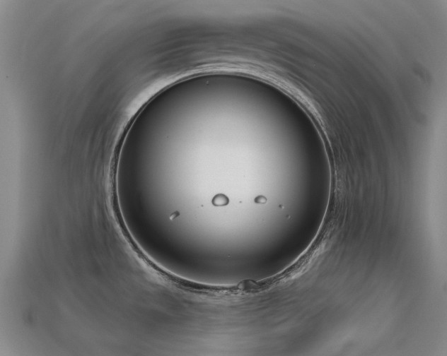 X0000113321533200909141345
