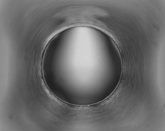 X0000113321534200909141345
