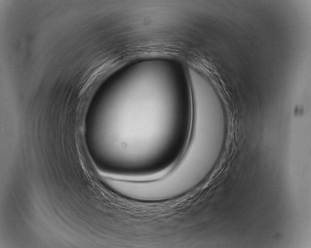 X0000113320001200909211207