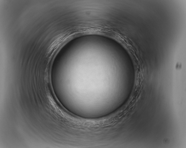 X0000113320002200909211207