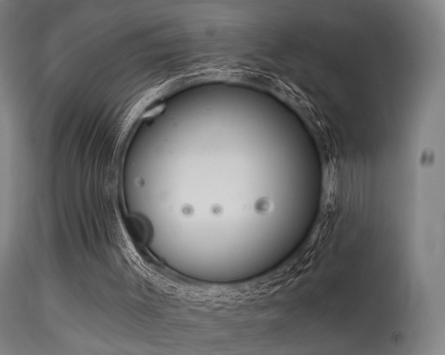 X0000113320003200909211207