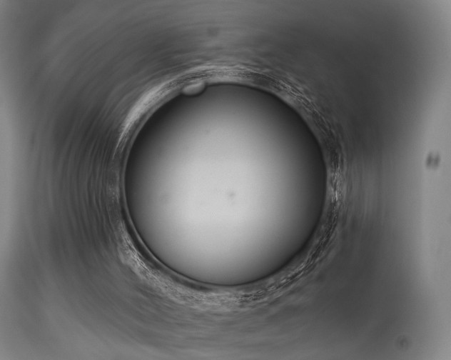 X0000113320004200909211207