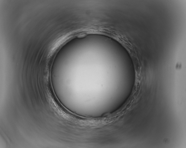 X0000113320005200909211207