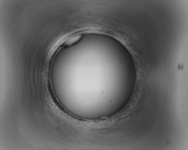 X0000113320007200909211207