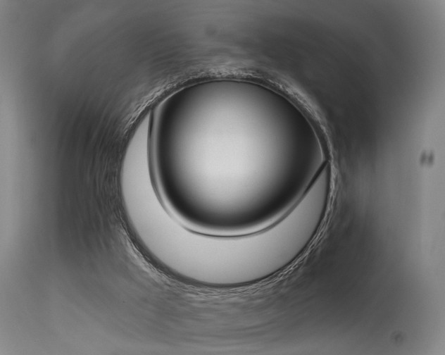 X0000113320009200909211207