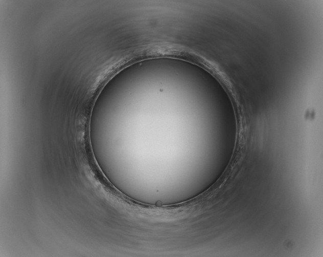 X0000113320010200909211207