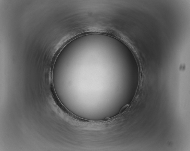 X0000113320011200909211207