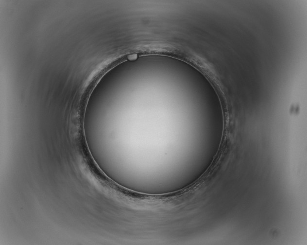 X0000113320012200909211207