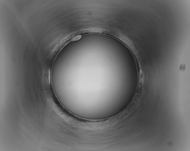 X0000113320013200909211207