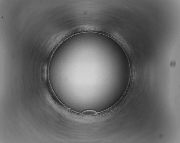 X0000113320014200909211207