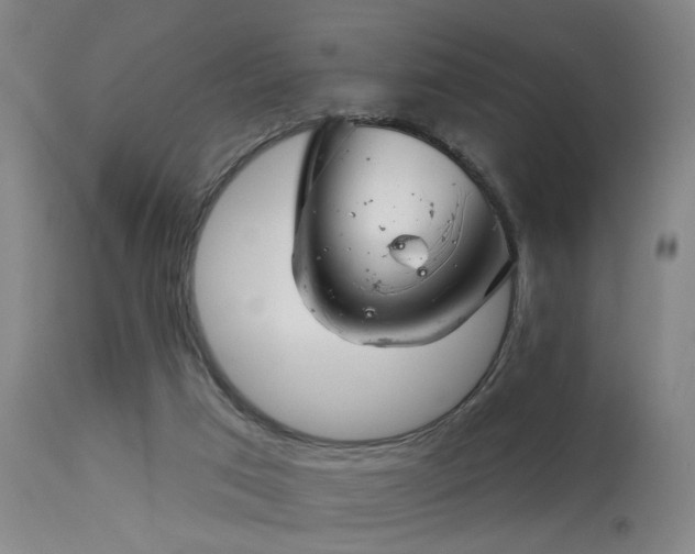 X0000113320017200909211207