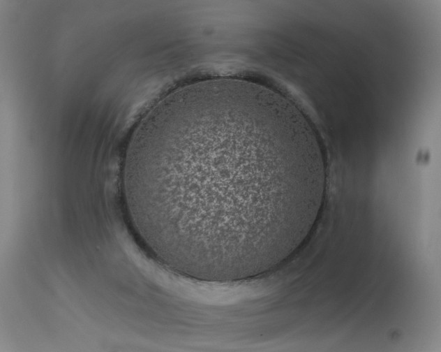 X0000113320018200909211207