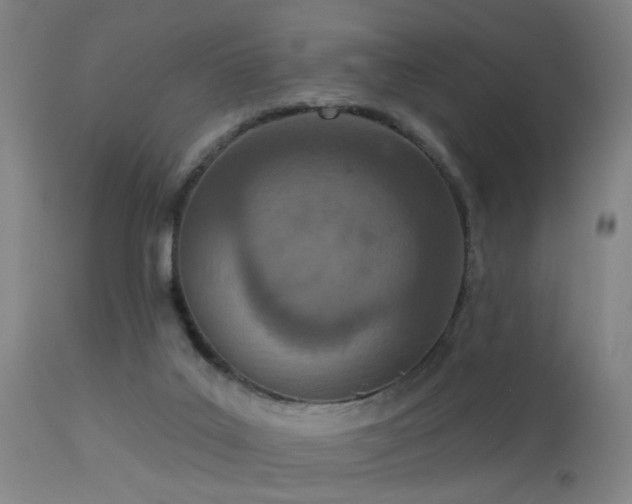 X0000113320019200909211207