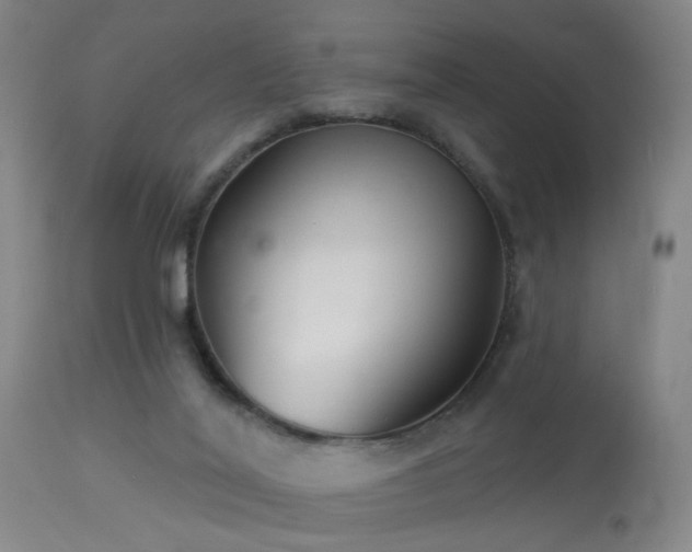 X0000113320020200909211207