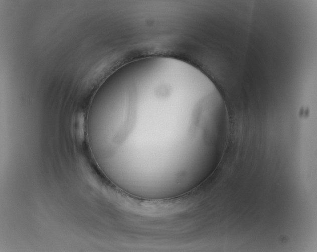 X0000113320022200909211207