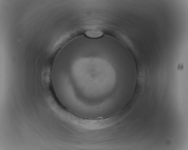 X0000113320023200909211207