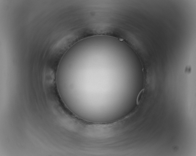 X0000113320025200909211207