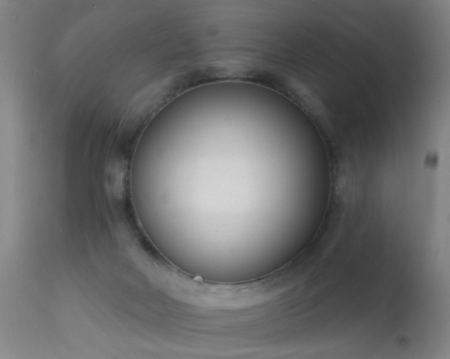 X0000113320026200909211207