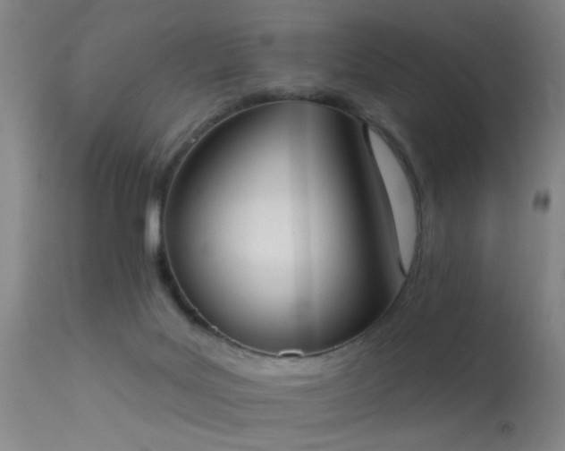 X0000113320027200909211207