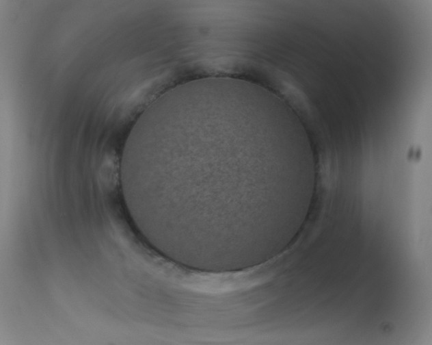 X0000113320029200909211206