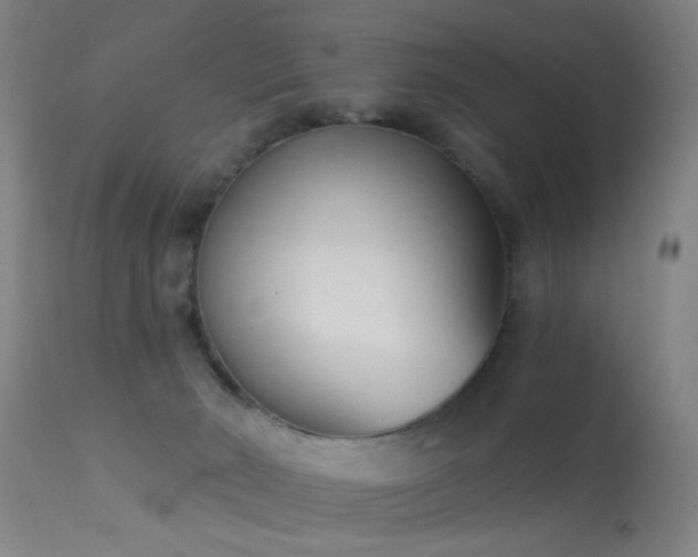 X0000113320030200909211206