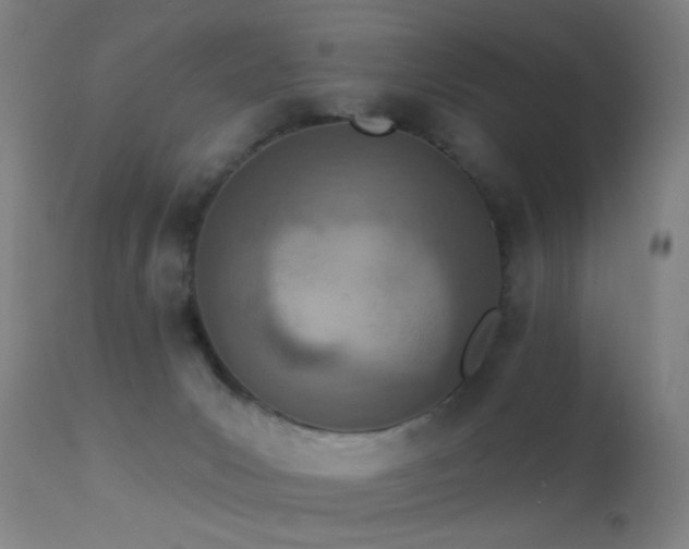 X0000113320031200909211206