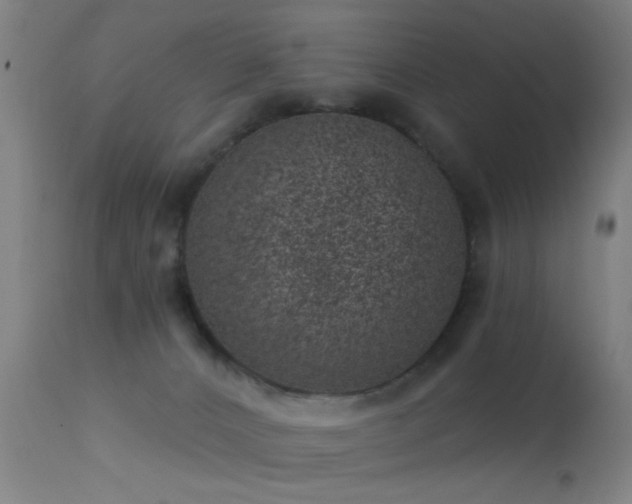 X0000113320032200909211206