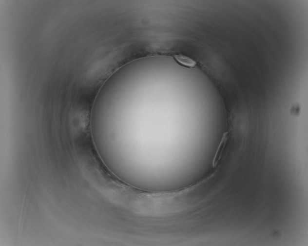 X0000113320033200909211206