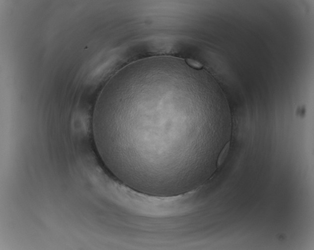 X0000113320035200909211206