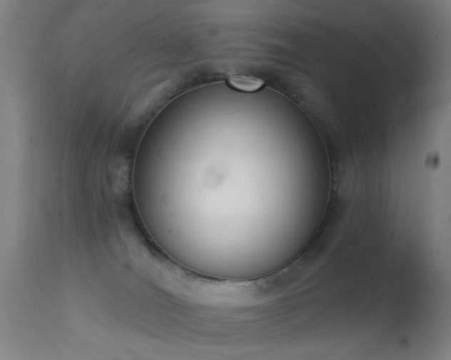 X0000113320036200909211206