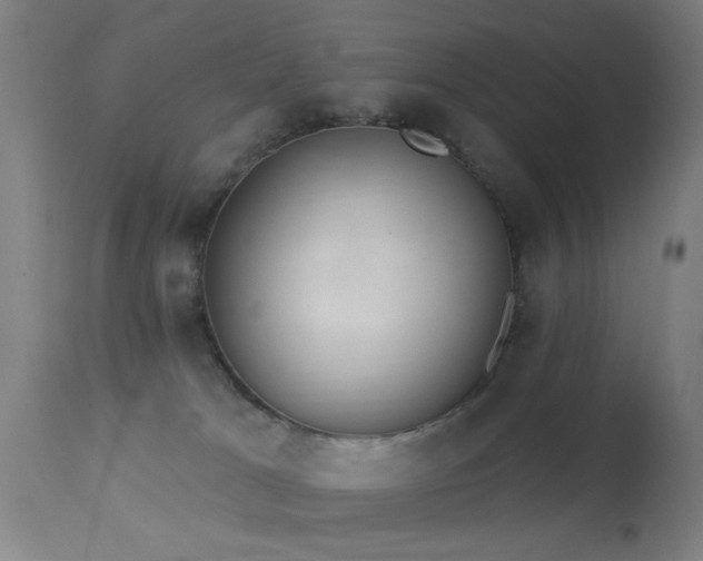 X0000113320037200909211206