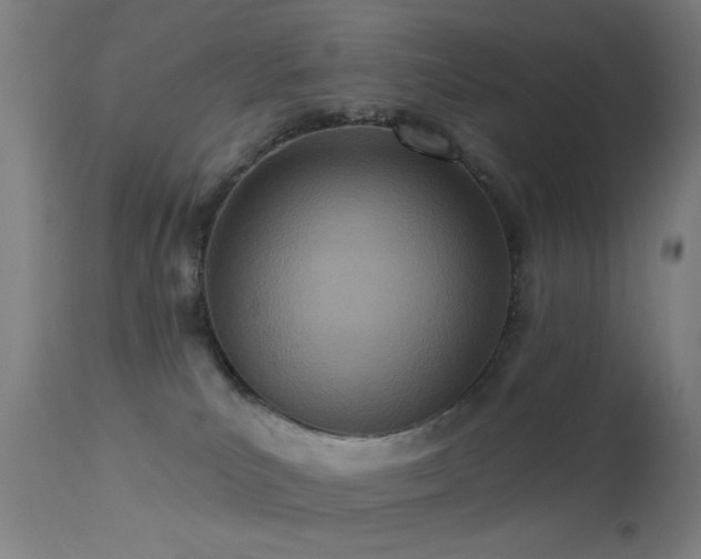 X0000113320039200909211206