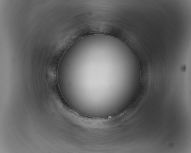 X0000113320040200909211206