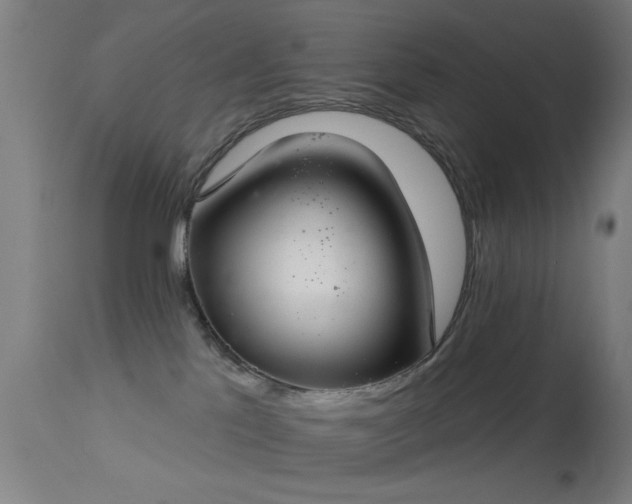 X0000113320041200909211206