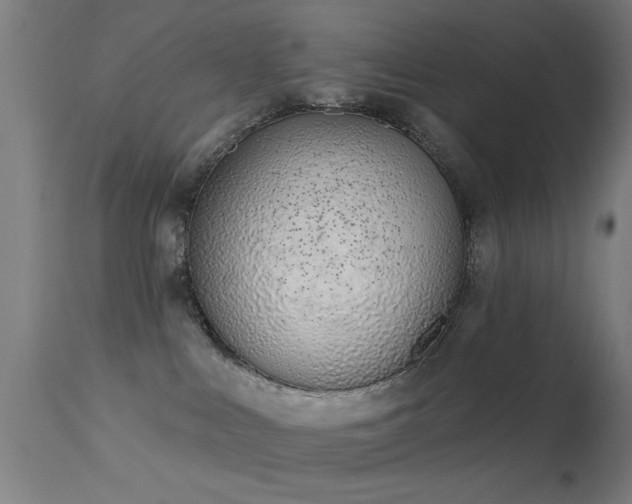 X0000113320043200909211206