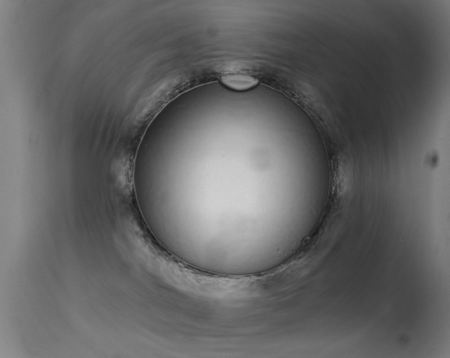 X0000113320044200909211206