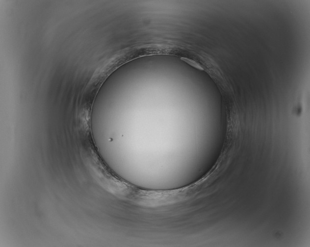 X0000113320045200909211206