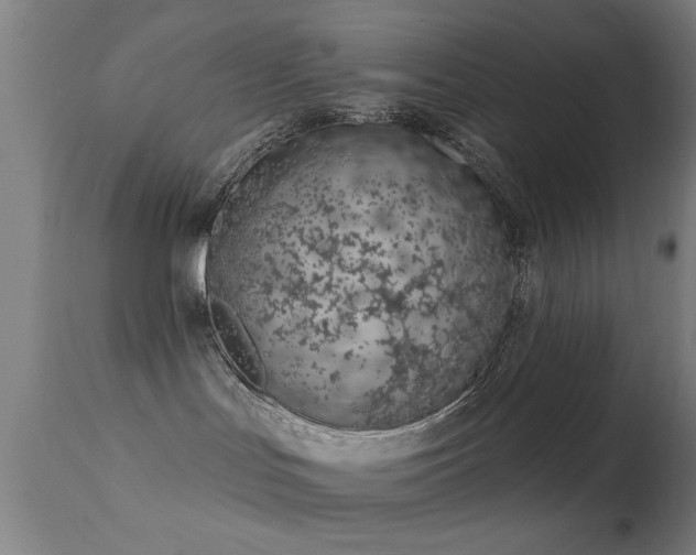 X0000113320047200909211206