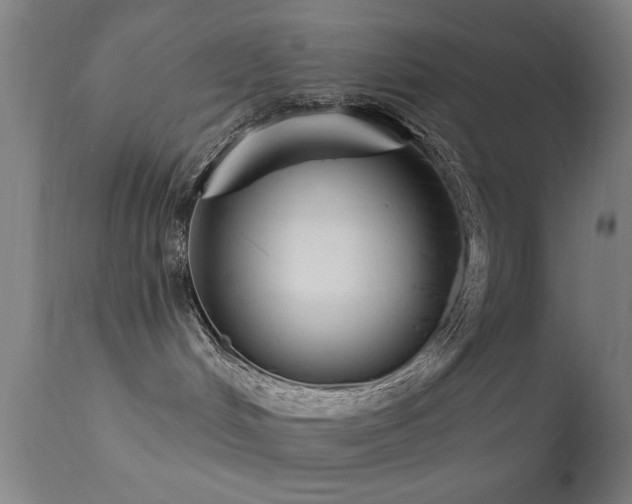 X0000113320048200909211206