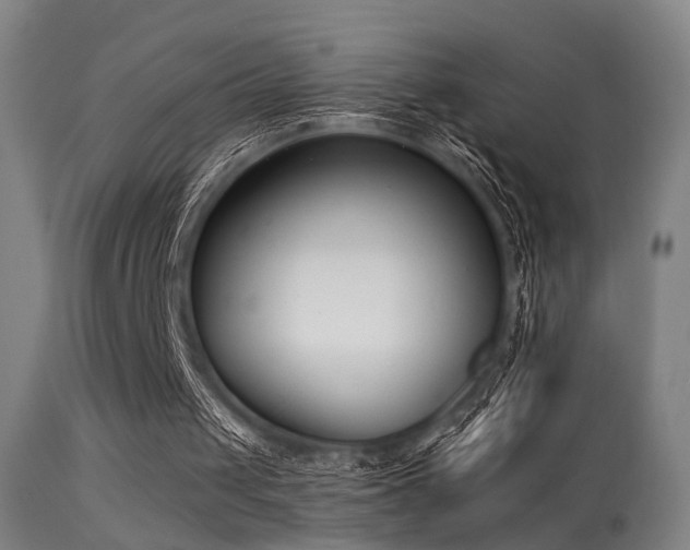 X0000113320049200909211205