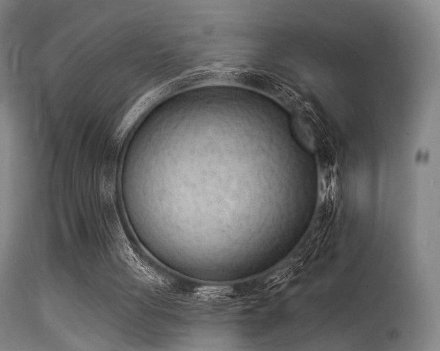 X0000113320051200909211205