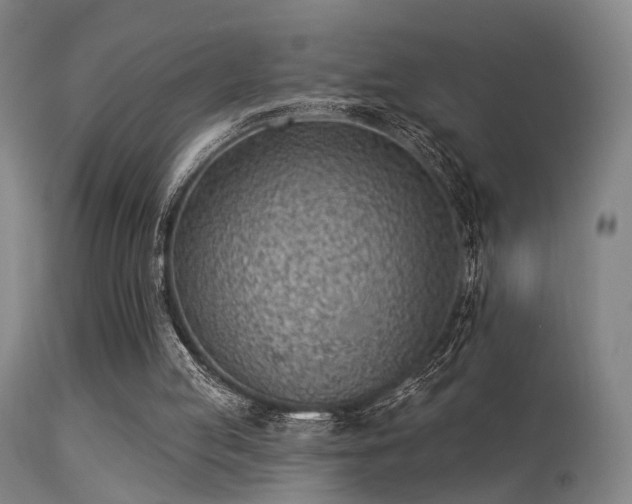 X0000113320053200909211205