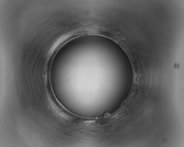 X0000113320054200909211205