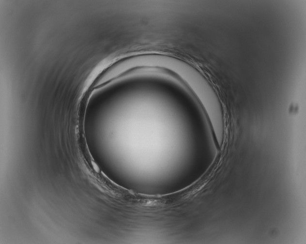 X0000113320056200909211205