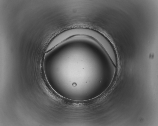 X0000113320057200909211205