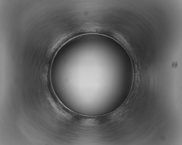 X0000113320058200909211205