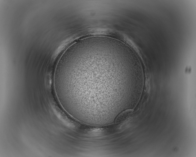 X0000113320059200909211205