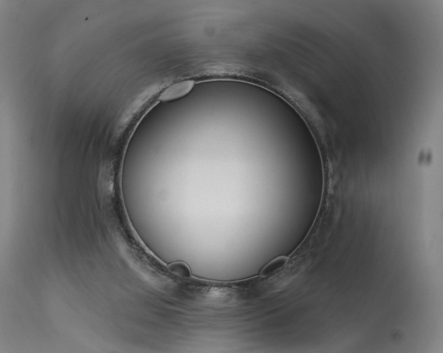 X0000113320060200909211205