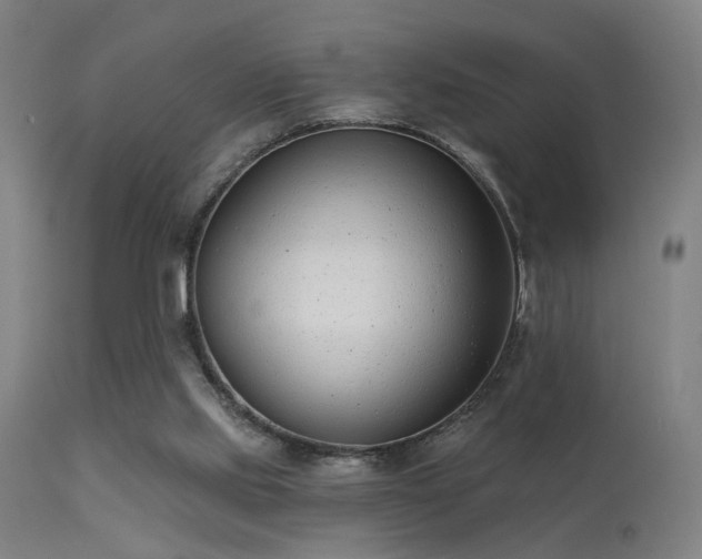 X0000113320061200909211205