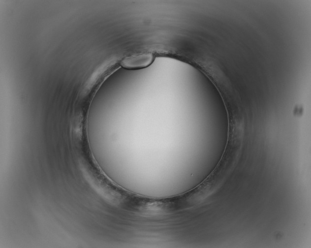 X0000113320064200909211205